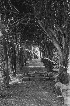 GORMANSTOWN CASTLE  'THE CLOISTERS'